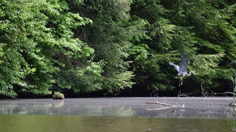 Forked Run State Park - Reedsville, OH