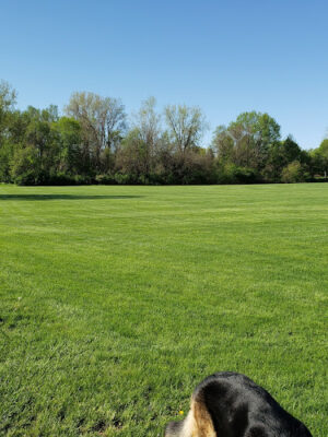 Huber Park