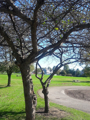 Independence Park