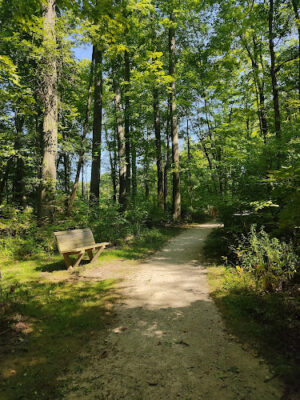 Eastwood Preserve