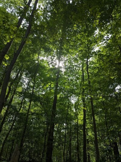 Eastwood Preserve - Richfield, OH