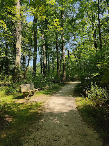 Eastwood Preserve