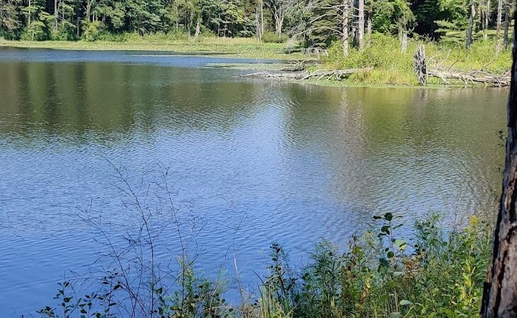 Lower Lake - Richfield, OH
