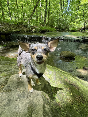 Richfield Heritage Preserve - Richfield, OH