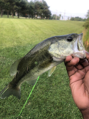 Richfield Township Catch & Release Pond with Dock & parking