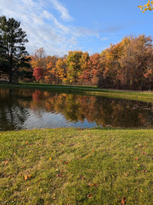 Richfield Woods Park - Catch and Release Pond