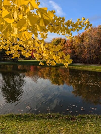 Richfield Woods Park - Catch and Release Pond - Richfield, OH