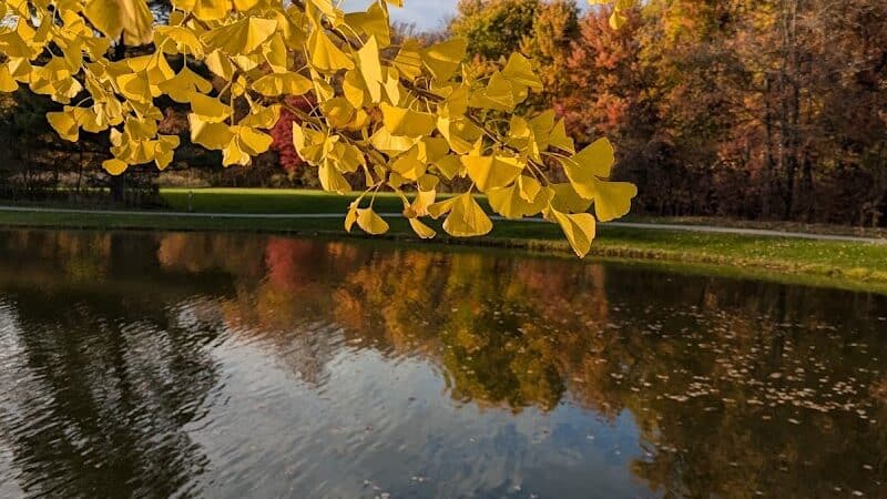 Richfield Woods Park - Catch and Release Pond - Richfield, OH