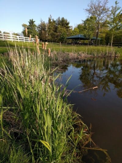 Richfield Woods Park - Catch and Release Pond - Richfield, OH