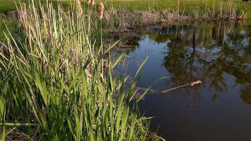 Richfield Woods Park - Catch and Release Pond - Richfield, OH