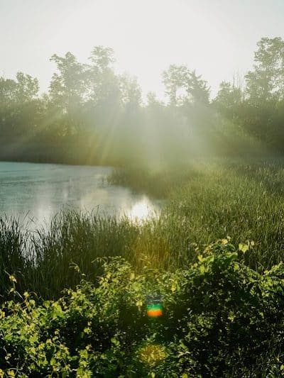 William J. Robertson Nature Preserve - Rittman, OH