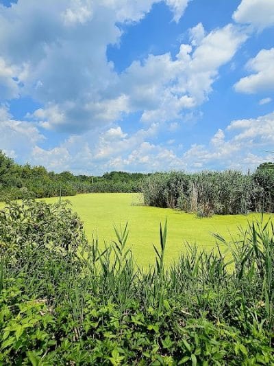 William J. Robertson Nature Preserve - Rittman, OH