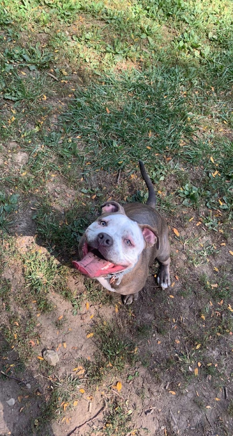 Community Park - Riverside, OH