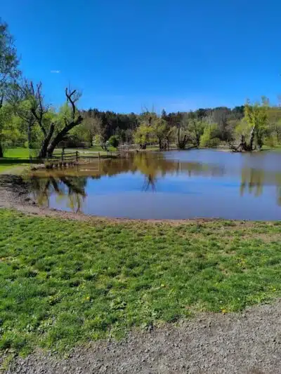 Ellison Dog Park - Rochester, NY