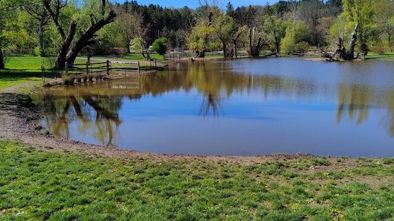 Ellison Dog Park - Rochester, NY