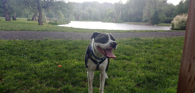 Ellison Dog Park - Rochester, NY