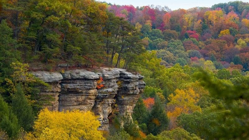 Conkles Hollow State Nature Preserve - Rockbridge, OH