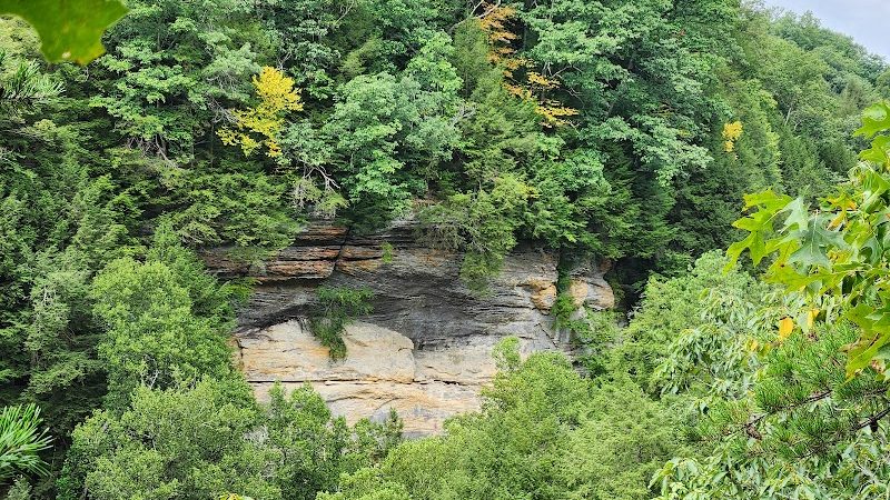 Conkles Hollow State Nature Preserve - Rockbridge, OH