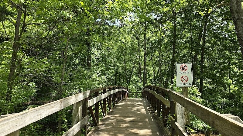 Conkles Hollow State Nature Preserve - Rockbridge, OH