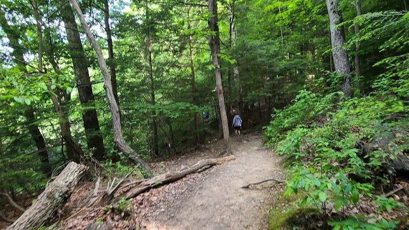 Conkles Hollow State Nature Preserve - Rockbridge, OH