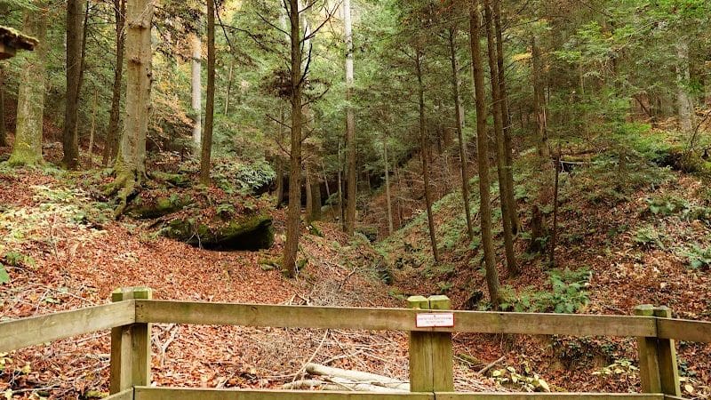 Conkles Hollow State Nature Preserve - Rockbridge, OH