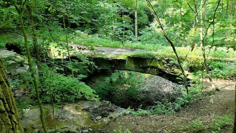 Rockbridge State Nature Preserve - Rockbridge, OH