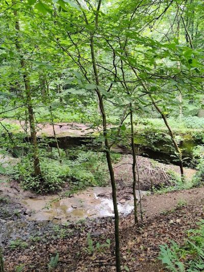 Rockbridge State Nature Preserve - Rockbridge, OH