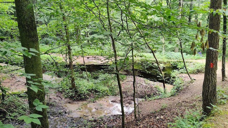 Rockbridge State Nature Preserve - Rockbridge, OH