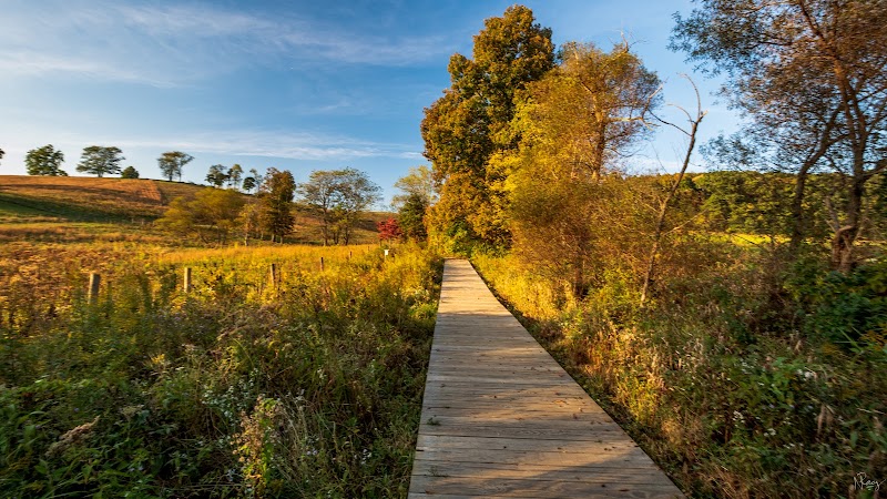Rockbridge State Nature Preserve - Rockbridge, OH
