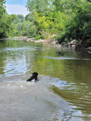 Rockcliff Springs Rocky River Reservation