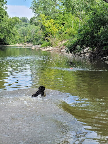 Rockcliff Springs Rocky River Reservation