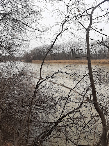 Island View Park Parking Lot