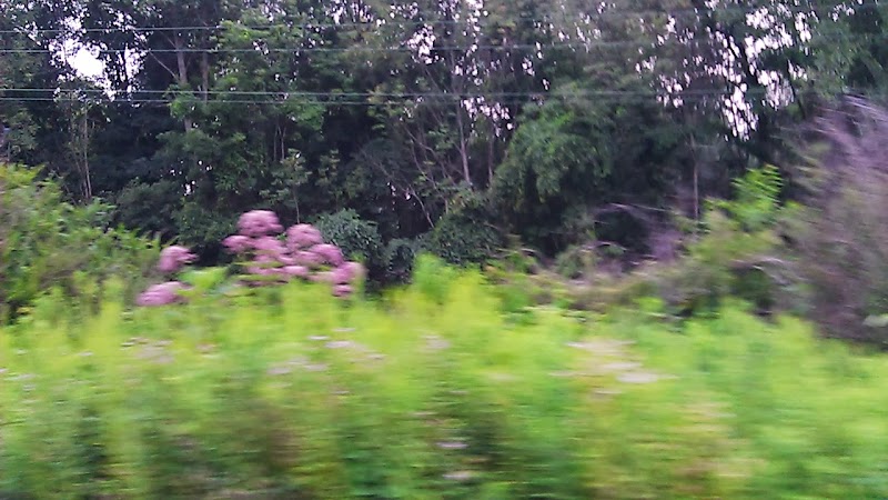 Sagamore Hills Township Park - Sagamore Hills, OH