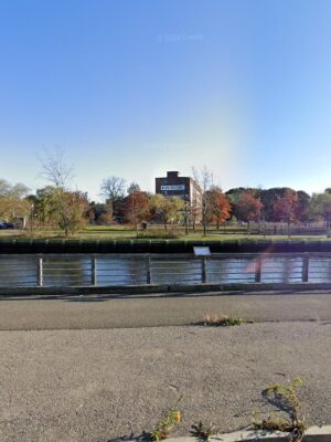 Dog park