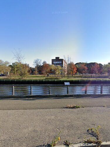 Dog park