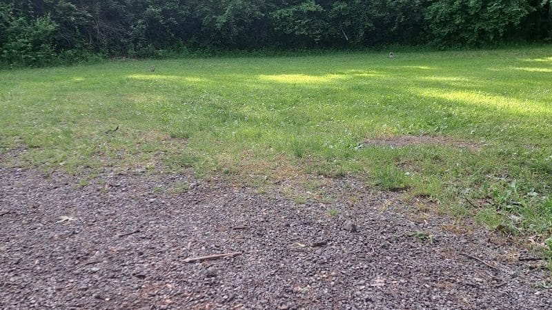 Waterworth Memorial Dog Park - Salem, OH