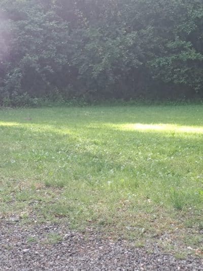 Waterworth Memorial Dog Park - Salem, OH