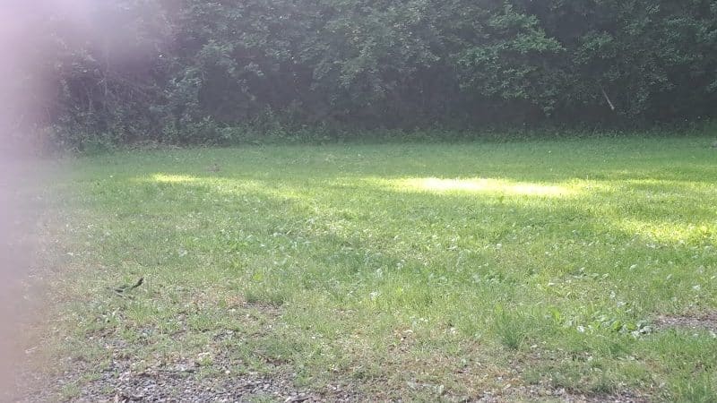 Waterworth Memorial Dog Park - Salem, OH