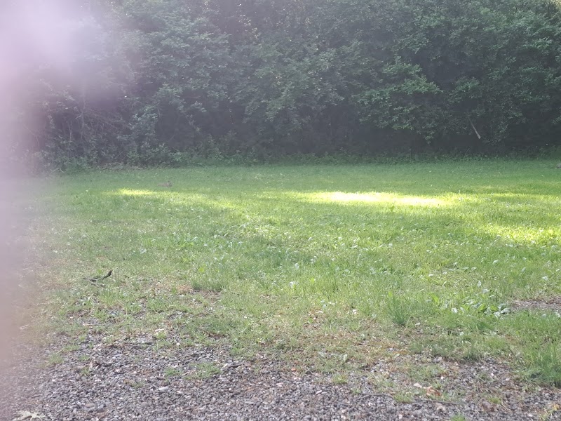 Waterworth Memorial Dog Park - Salem, OH