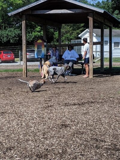 Salem Rotary Dog Park - Salem, VA