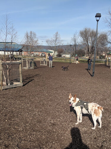 Salem Rotary Dog Park