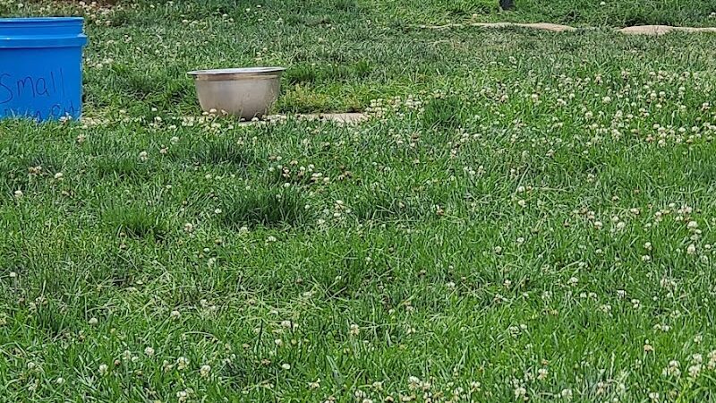 Salem Rotary Dog Park - Salem, VA