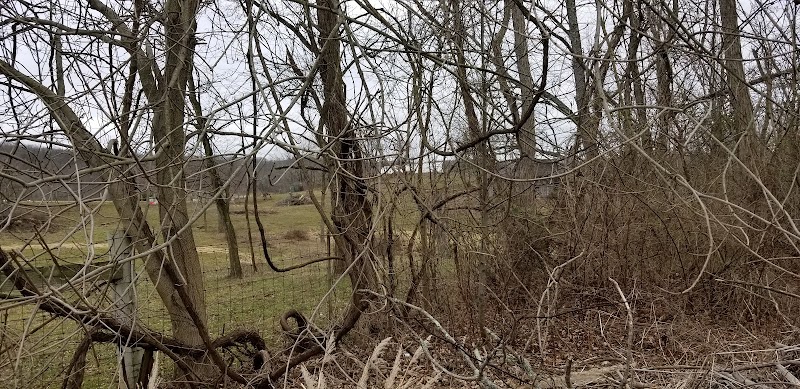 Rest Stop w/ Dog Walking sleep - Salesville, OH