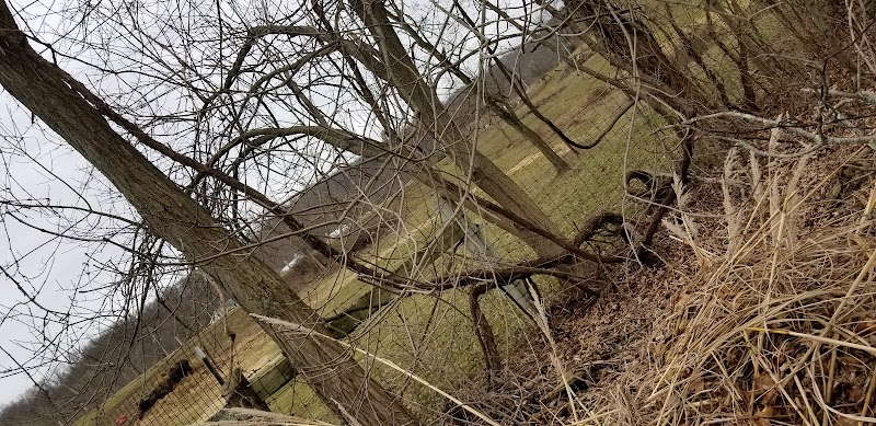 Rest Stop w/ Dog Walking sleep - Salesville, OH