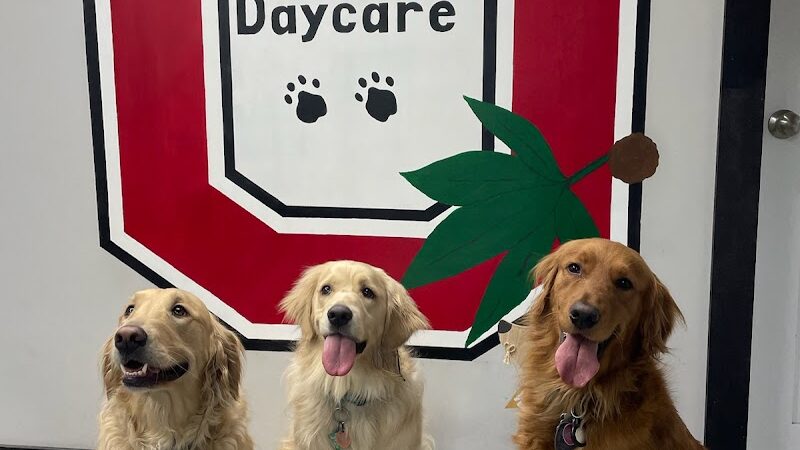 Buckeye Furry Friends Doggie Daycare - Sandusky, OH