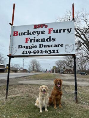 Buckeye Furry Friends Doggie Daycare
