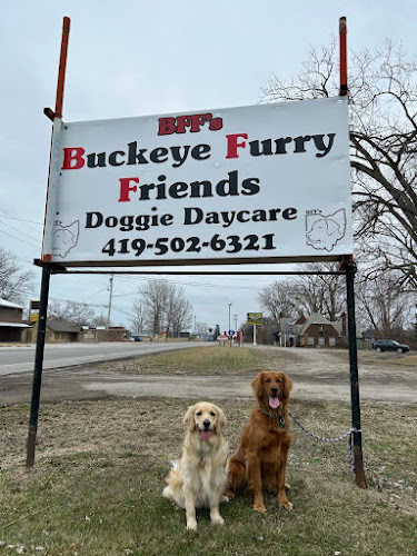 Buckeye Furry Friends Doggie Daycare