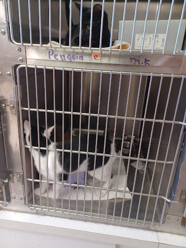 Humane Society of Erie County