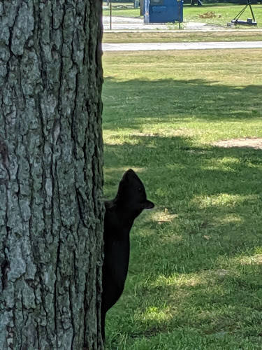 Lions Park - Sandusky, OH