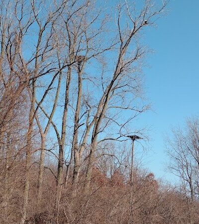 Pelton Park - Sandusky, OH